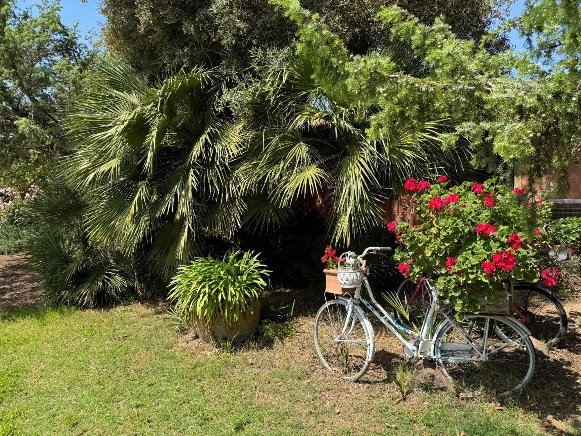 L'Orto Villa San Vero Milis Exterior foto